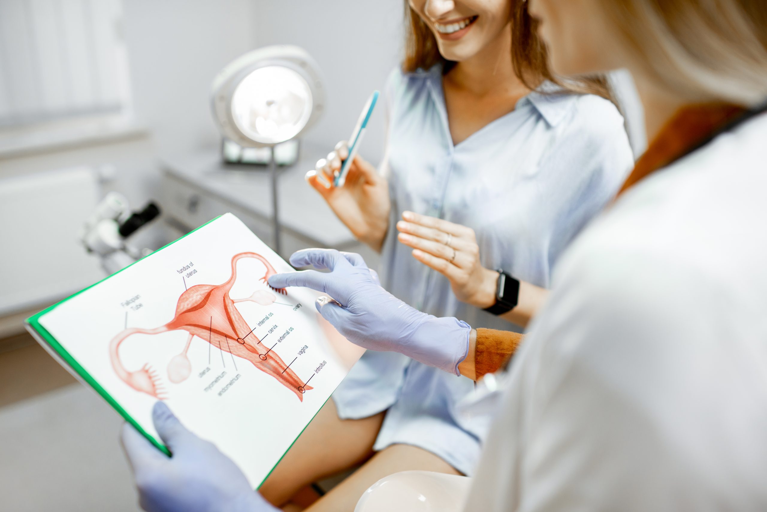 Gynecologist showing a picture with uterus to a young woman patient, explaining the features of women's health during a medical consultation in the office