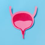 A pink bladder on a blue background represents urinary tract health, infections, and urological conditions.