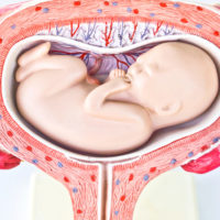 Fetal Movement - MacArthur Medical Center
